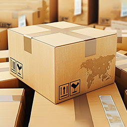  Cardboard Group
