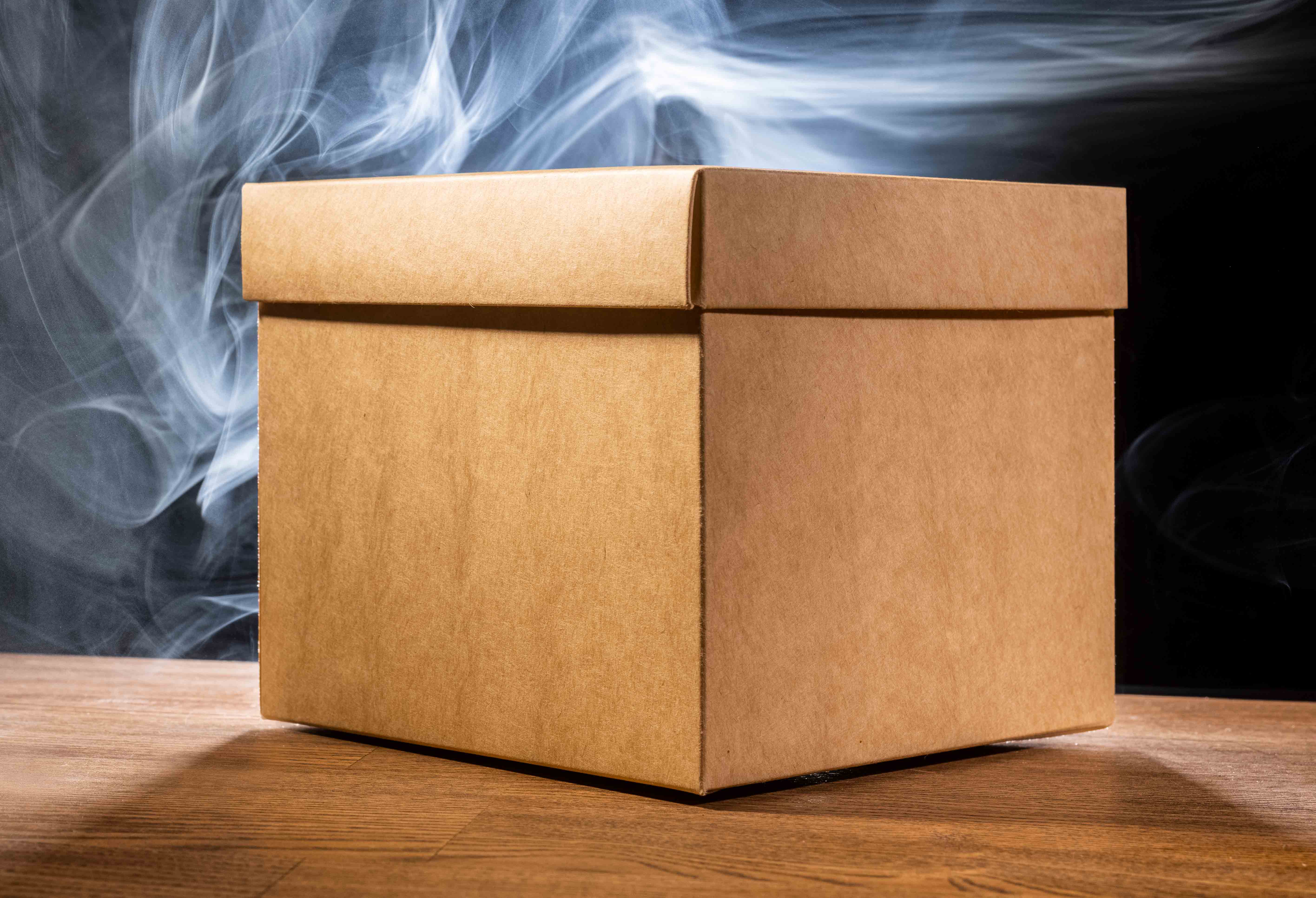 Printed and Unprinted Boxes