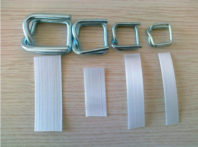 Chrome Hoop Buckles